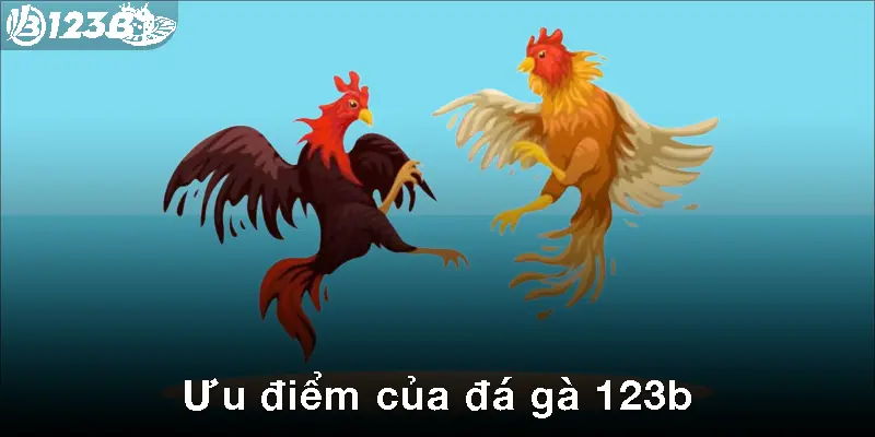 Đá gà 123b